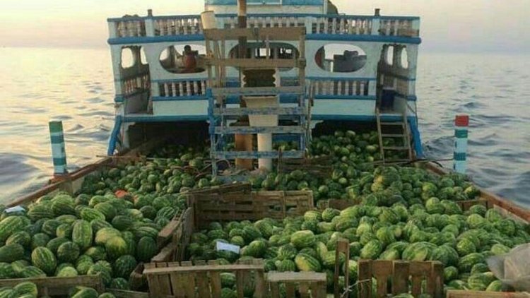 صادرات هندوانه مشمول عوارض آب مجازی شد