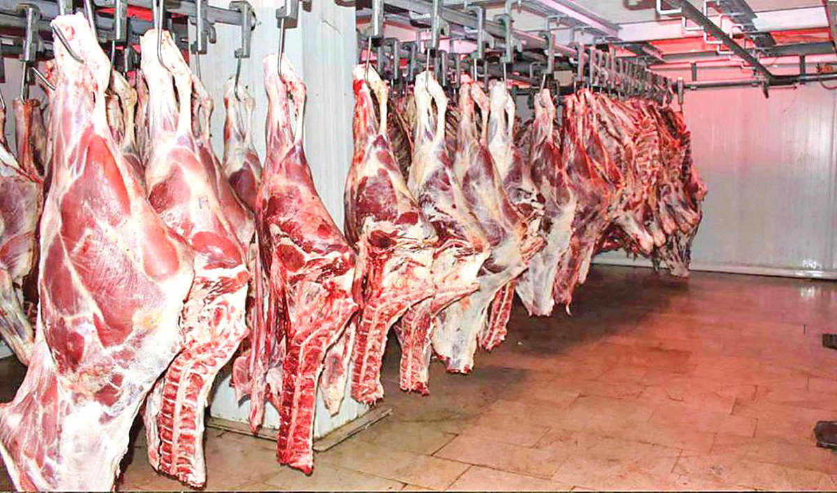لزوم سوال از وزیر جهادکشاورزی درباره کیفیت پائین گوشت های وارداتی، جیب چه کسی گشاد شده؟
