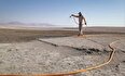 آیا مالچ پاشی در بستر دریاچه ارومیه با محیط زیست سازگار است؟