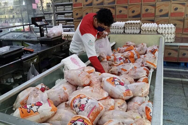 قیمت ۷۳ هزار تومانی گوشت گرم مرغ برای مصرف کننده