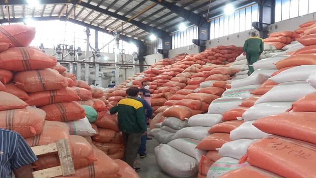آغاز خرید برنج‌های انبار شده شمال