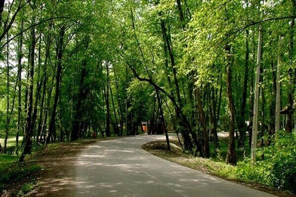 پلمب پارک جنگلی دریاچه شورمست در سوادکوه