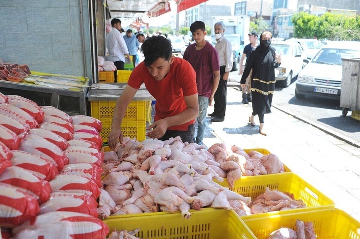 استدلال های خنده دار پیمان پاک درباره افزایش قیمت مرغ و همه وعده های کشککی مدیران قبلی