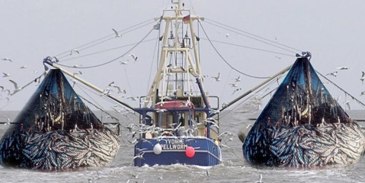 احتمال آغاز دوباره غارت ماهی‌های جنوب با صید ترال توسط چینی‌ها