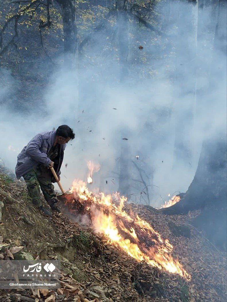 آتش سوزی ها در جنگل های هیرکانی و لزوم سوال مجلس یا حکم جلب دادستان برای روسای سازمان های منابع طبیعی ،محیط زیست و مدیریت بحران کشور