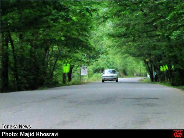 گزارش تصویری: