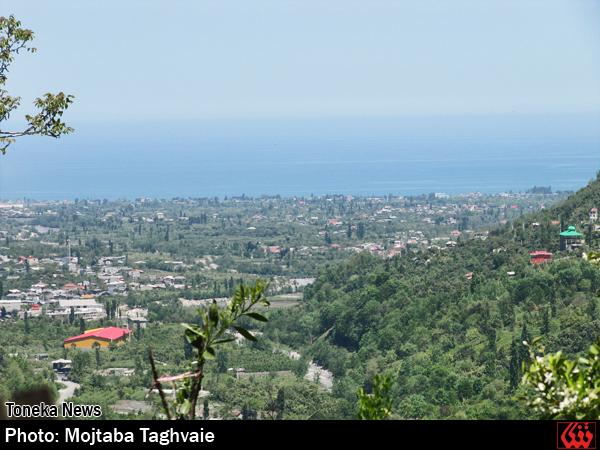 گزارش تصویری: