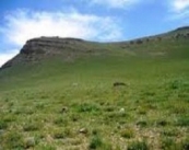برخورد بدون اغماض با هرگونه تغییر کاربری اراضی کشاورزی در استان زنجان