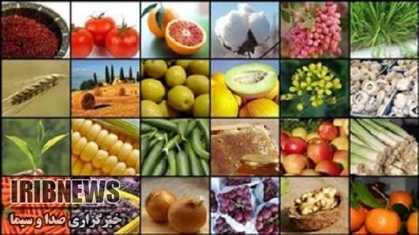 صادرات 42 هزار تنی محصول کشاورزی از زنجان