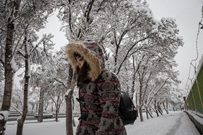 بارش برف در پایتخت