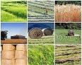 ۹۰ روستای استان زنجان برای طرح تعاون روستا هدف‌گذاری شد