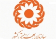 کودک شیرخواره مبتلا به شپش در سلامت کامل به‌سر می‌برد