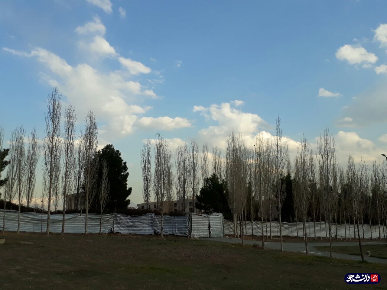 وقتی دیوارهای درختی حائل خوابگاه‌های دخترانه و پسرانه دانشگاه خوارزمی می‌شود