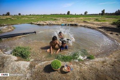 اینجا زندگی جاریست