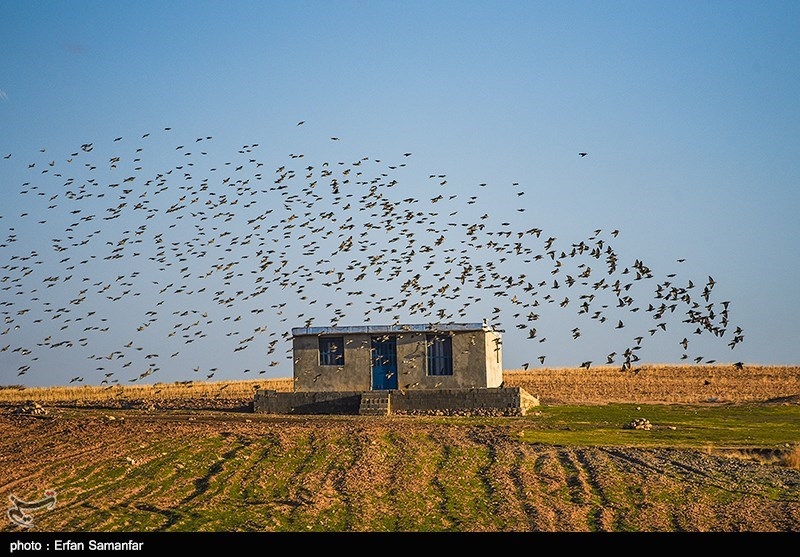 ردپای انسان در طبیعت