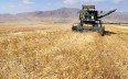 مهم‌ترین مشکل صندوق حمایت از توسعه بخش کشاورزی استان زنجان، پایین بودن سرمایه است