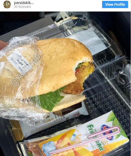 وعده غذایی فلافل در هواپیمای ایرانی