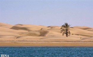 بیا به دَرَک؛ نوروز در بلوچستان زیبا