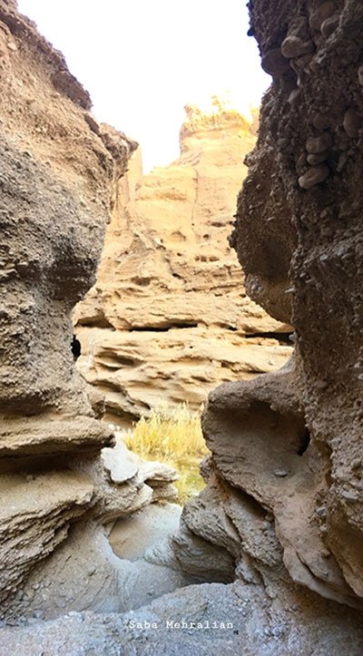 سرزمین رفاقت نخل و پرتقال