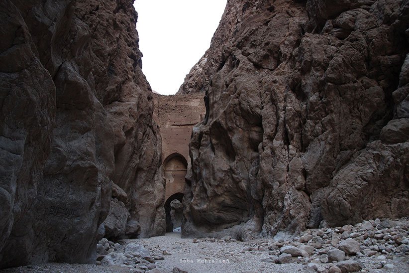 سرزمین رفاقت نخل و پرتقال