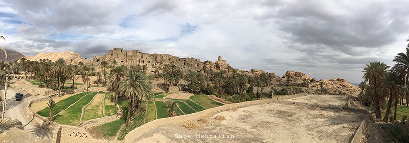 سرزمین رفاقت نخل و پرتقال