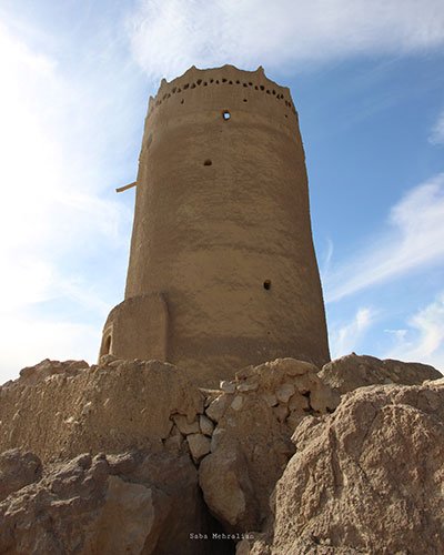 سرزمین رفاقت نخل و پرتقال