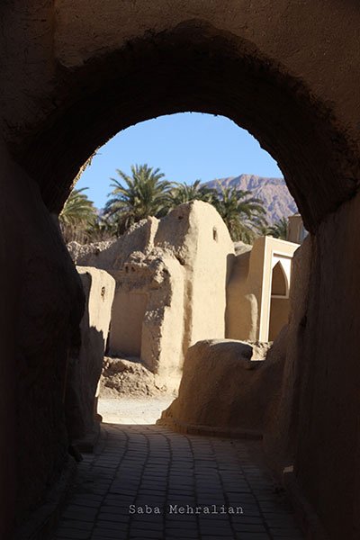 سرزمین رفاقت نخل و پرتقال