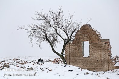 بارش برف و برودت هوا در اردبیل