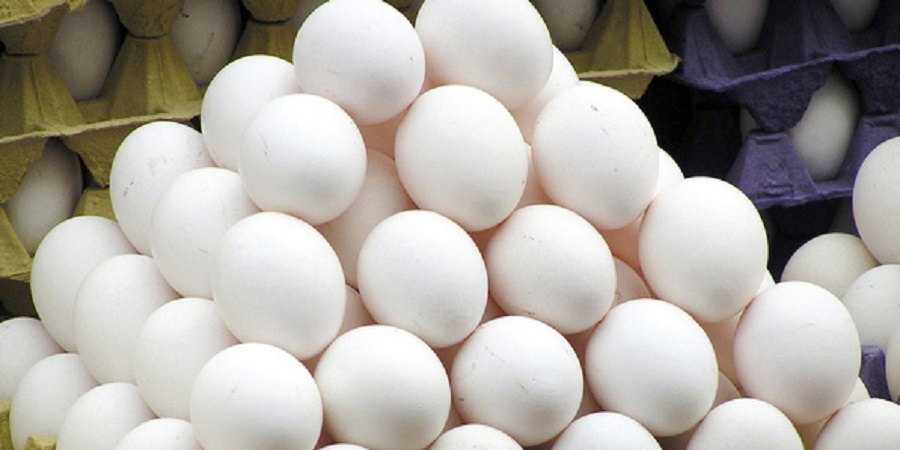 تخم‌مرغ تقلبی داخل کشور وجود ندارد