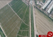 قطب اصلی کشاورزی کشور رو به سوی استقلال و اشتغال