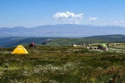 دشت « گل‌های بابونه» اردبیل+ تصاویر