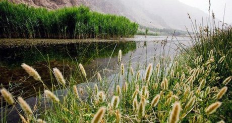 تهدیدهای تالاب 