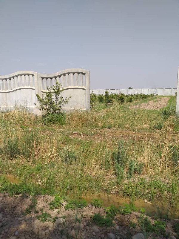 ساخت و ساز در عرصه ثبت ملی جندی‌شاپور