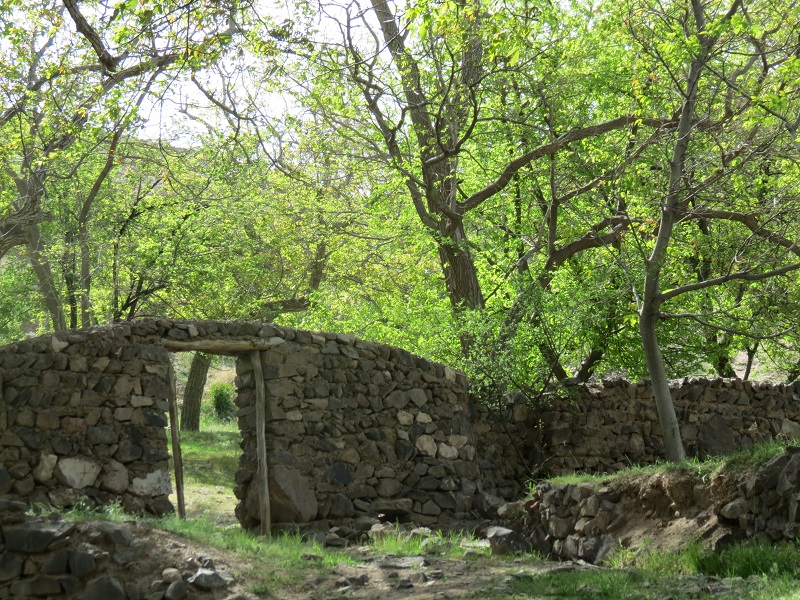 فریاد سرخُنگ از گردشگری بدون زیرساخت