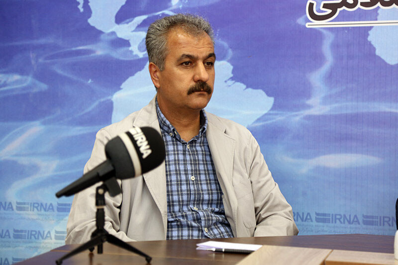 توت فرنگی به خروار، صنعت به مثقال