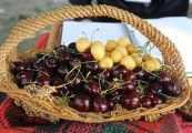 شهر گیلاس از محرومیت فاصله می‌گیرد+تصاویر