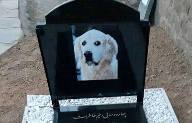 ماجرای جنجالی مراسم خاکسپاری یک سگ در مسجد!