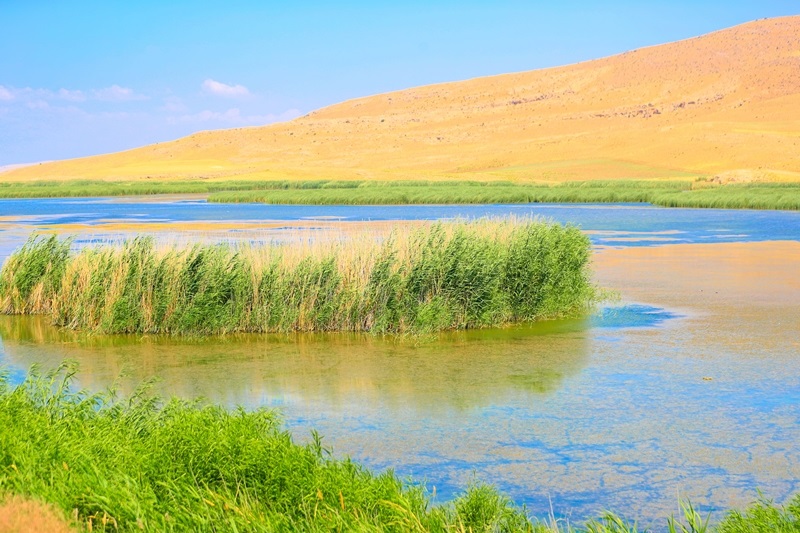 آخرین اقدامات دولتمردان جهت احیای دریاچه ارومیه/ افزایش ۹۸ سانتی متری تراز نگین نمکی شمال غرب کشور آخرین اقدامات دولتمردان جهت احیای دریاچه ارومیه/ افزایش ۹۸ سانتی متری تراز نگین نمکی شمال غرب کشور