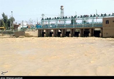 ورود آب به منطقه سیستان به روایت تصویر