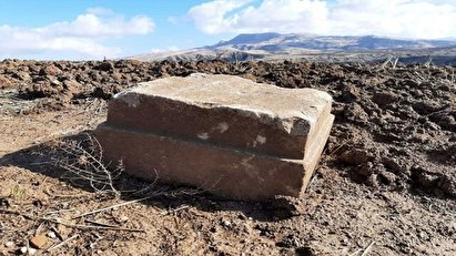 کشف سنگ نوشته‌های باستانی در اراضی کشاورزی دالاهو