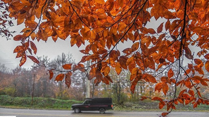 آخرین نفس‌های پاییز در مازندران