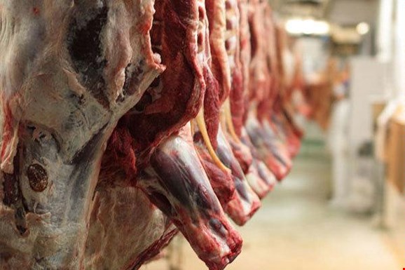 ۳۲ هزار تن گوشت منجمد به کشور وارد شده‌است