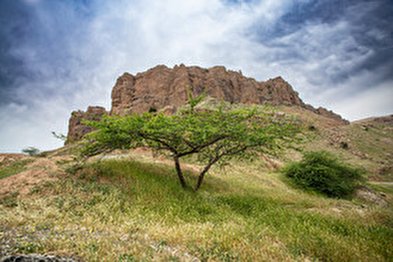 طبیعت زیبای سردشت دزفول