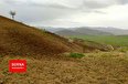 توسعه گردشگری ناجی درختان کردستان