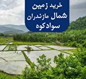 دلالان صحنه گردان گرانی‌های زمین
