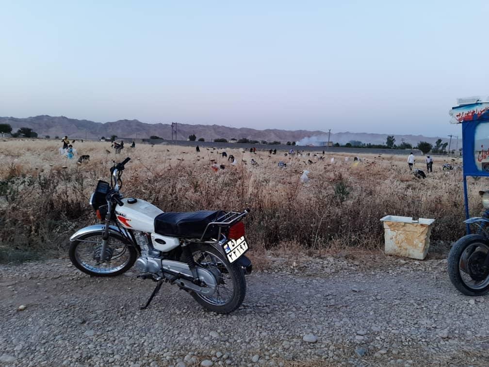 دعوت از مدیران ستادی جهادکشاورزی، به پیاز مفت رامهرمزی