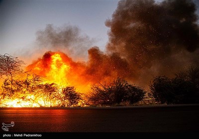 آتش زدن مزارع بعد از برداشت محصول