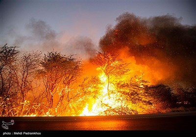 آتش زدن مزارع بعد از برداشت محصول