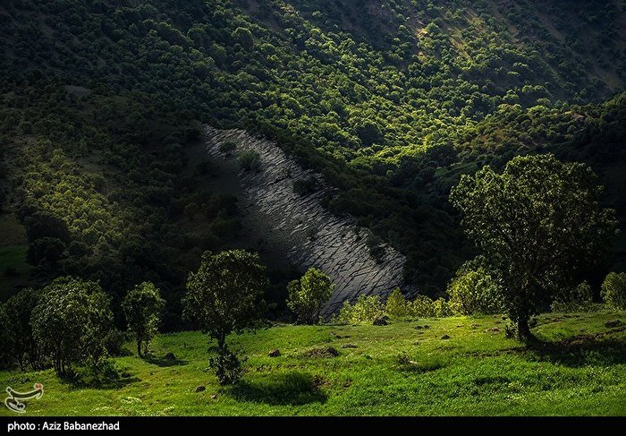 مهراب کوه + عکس