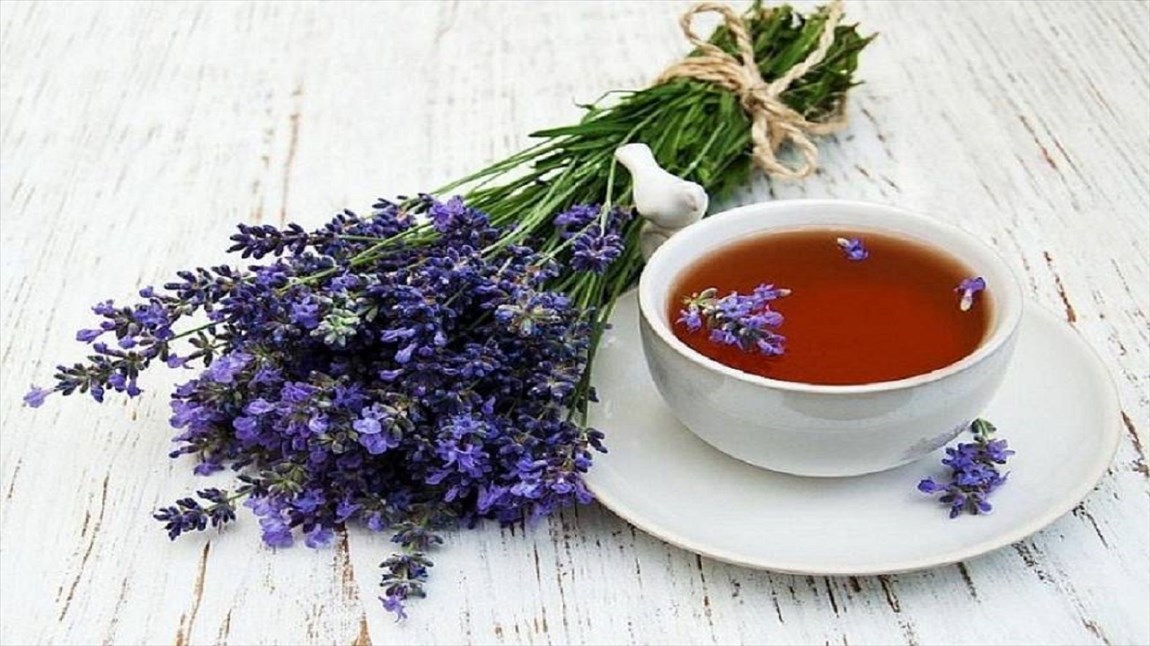 اگر اضطراب دارید گل گاو زبان بنوشید